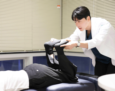 교정치료